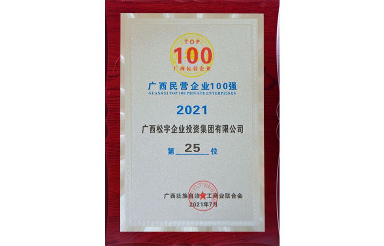 广西民营企业100强第25位