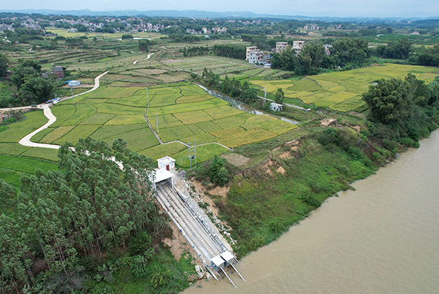 项目实景图